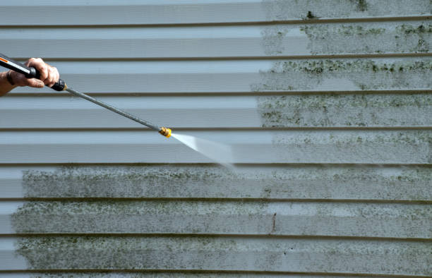 Best Toxic Mold Removal  in Ulysses, KS